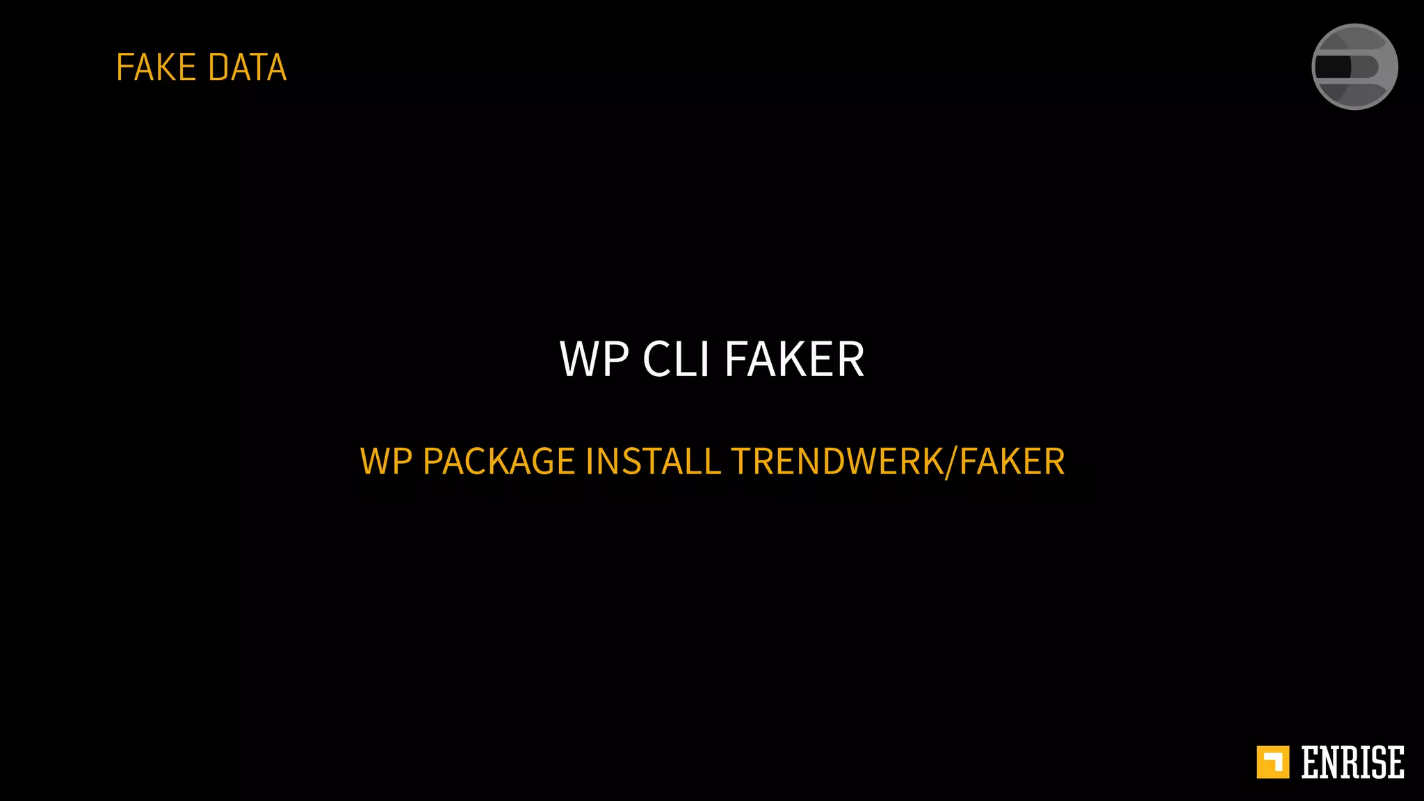 WP PACKAGE INSTALL TRENDWERK/FAKER
WP CLI FAKER
FAKE DATA
 