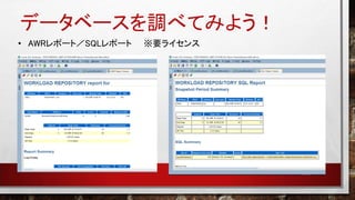 データベースを調べてみよう！
• AWRレポート／SQLレポート ※要ライセンス
 