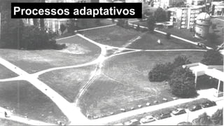 Processos
adaptativos
MauricioBitencourt.com 53
 