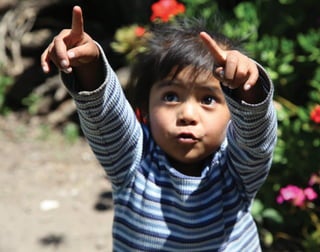 discapacidad auditiva.indd 41 26/11/13 08:58
 