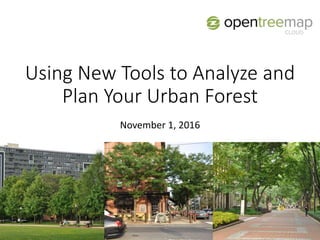 Using New Tools to Analyze and
Plan Your Urban Forest
November 1, 2016
 