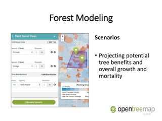 Forest Modeling
Scenarios
• Projecting potential
tree benefits and
overall growth and
mortality
 