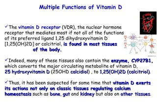 The vitamin D receptor (VDR), the nuclear hormone
receptor that mediates most if not all of the functions
of its preferred ligand 1,25 dihydroxyvitamin D
[1,25(OH)2D] or calcitriol, is found in most tissuesis found in most tissues
of the body.of the body.
Indeed, many of these tissues also contain the enzyme, CYP27B1,enzyme, CYP27B1,
which converts the major circulating metabolite of vitamin D,
25 hydroxyvitamin D25 hydroxyvitamin D (25OHD calcidiolcalcidiol) , toto 1,25(OH)2D (calcitriol)1,25(OH)2D (calcitriol).
Thus, it has been suspected for some time that vitamin D exertsvitamin D exerts
its actions not only on classic tissues regulating calciumits actions not only on classic tissues regulating calcium
homeostasishomeostasis such as bonebone, gutgut and kidneykidney but also on other tissuesother tissues.
Multiple Functions of Vitamin D
 