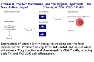 Vitamin D, the Gut Microbiome, and the Hygiene Hypothesis. How
Does Asthma Begin? S Weiss, AJCCM, 2015; 191:492
Interactions of vitamin D with the gut microbiome and the fetal
immune system. Vitamin D up-regulates TGF-beta1 and IL-10, which
will enhance Treg function and down-regulate CD4 T cells, reducing
both Th1 and Th2 CD41 cell inflammation.
 