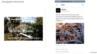 11/11/2016
Divulgação Institucional
 