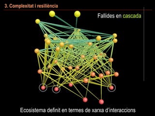 Ecosistema definit en termes de xarxa d’interaccions
3. Complexitat i resiliència
Fallides en cascada
 