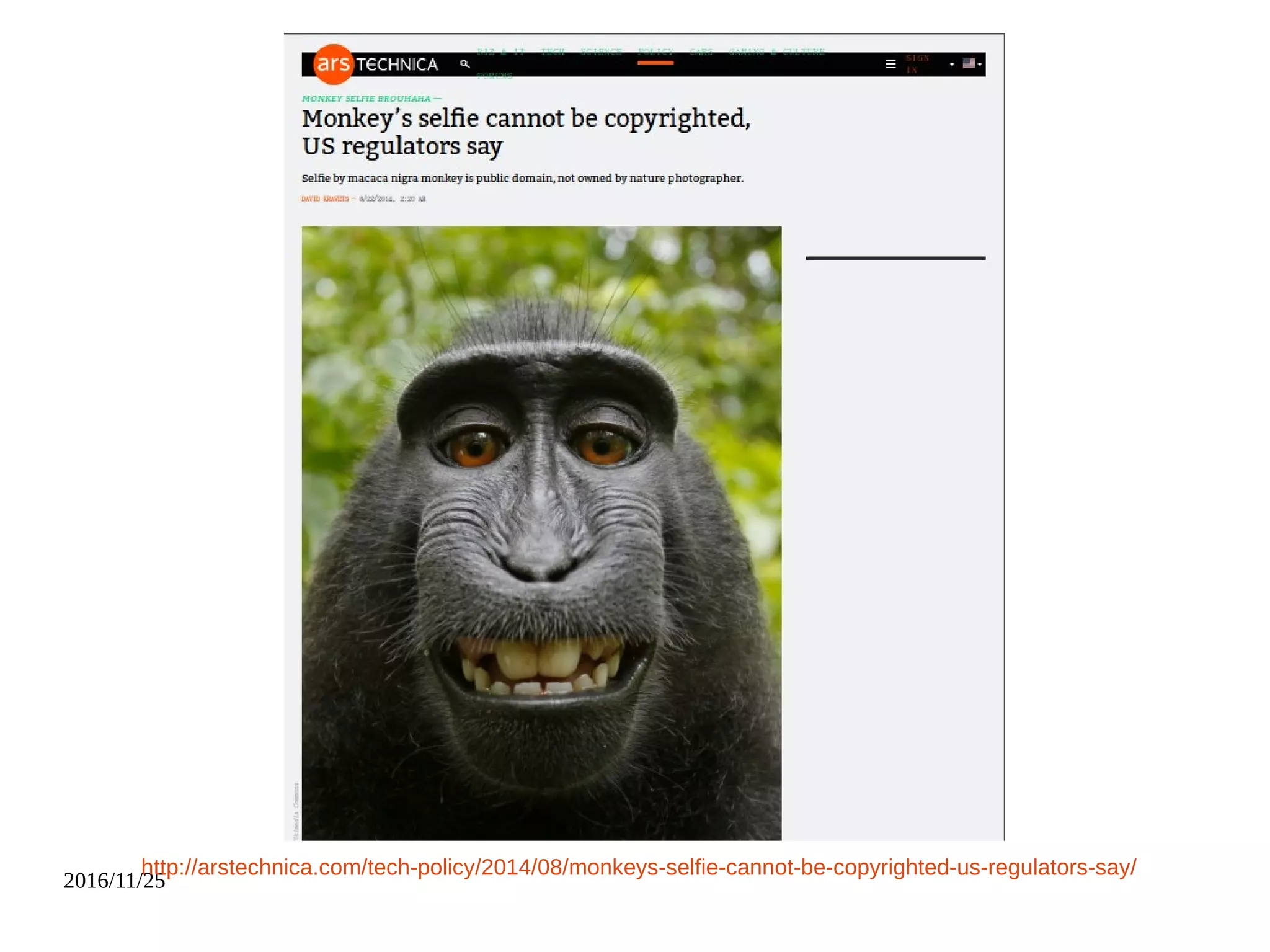 2016/11/25
http://arstechnica.com/tech-policy/2014/08/monkeys-selfie-cannot-be-copyrighted-us-regulators-say/
 