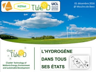 Cluster Technology	of	
Wallonia	Energy,	Environment	
and	sustainable	Development
01	décembre	2016	
@	Moulins	de	Beez
L'HYDROGÈNE
DANS TOUS
SES ÉTATS
 