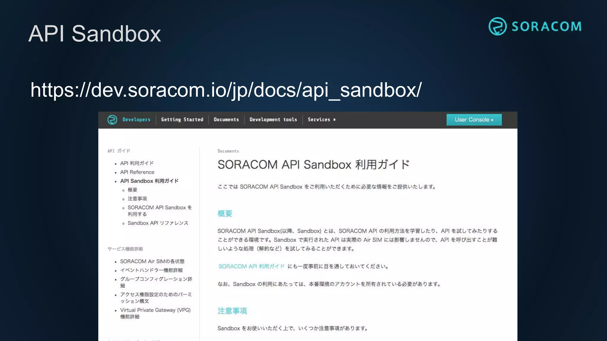 https://dev.soracom.io/jp/docs/api_sandbox/
API Sandbox
 