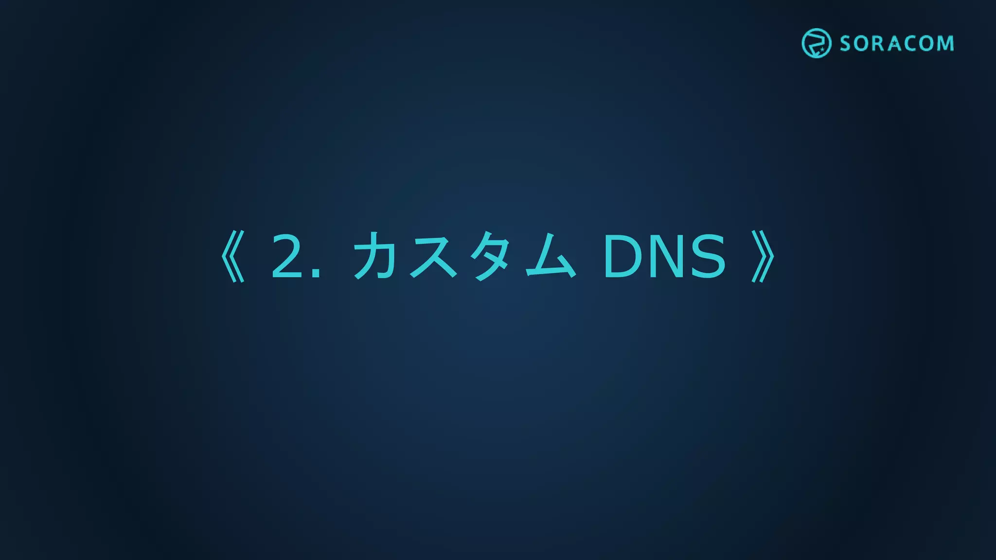 《 2. カスタム DNS 》
 