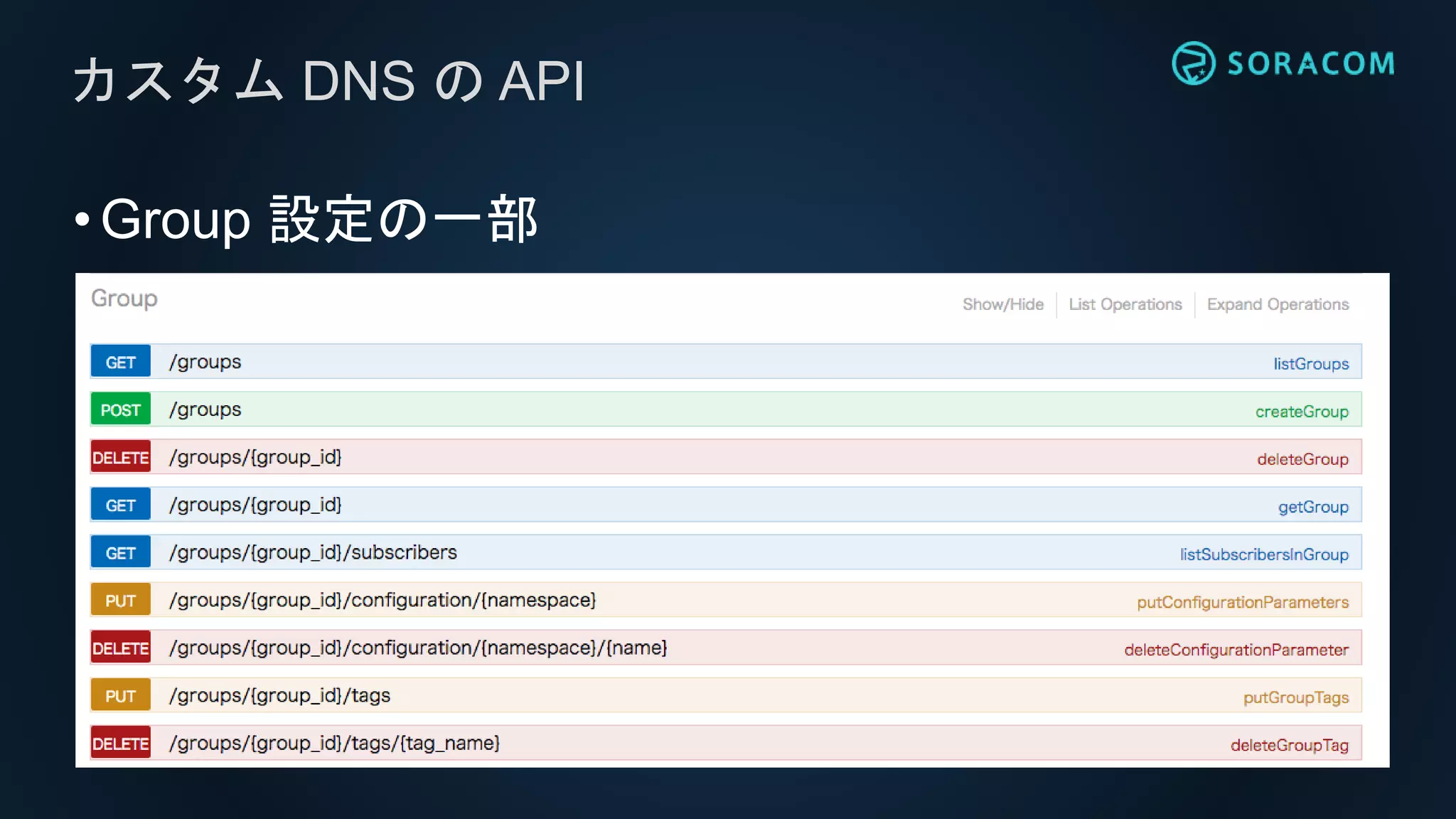 •Group 設定の一部
カスタム DNS の API
 