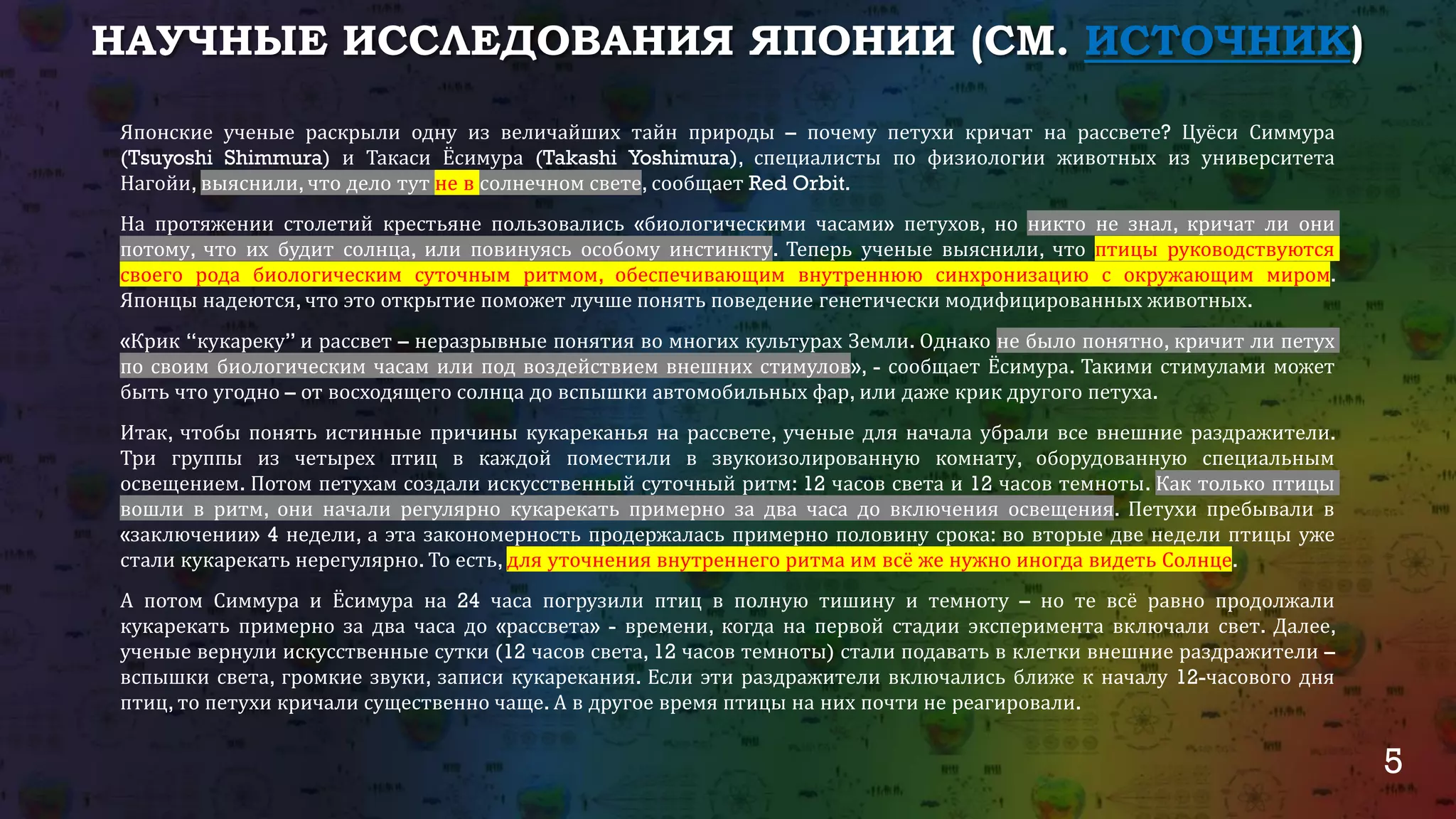 5
НАУЧНЫЕ ИССЛЕДОВАНИЯ ЯПОНИИ (СМ. ИСТОЧНИК)
Японские ученые раскрыли одну из величайших тайн природы – почему петухи кричат на рассвете? Цуёси Симмура
(Tsuyoshi Shimmura) и Такаси Ёсимура (Takashi Yoshimura), специалисты по физиологии животных из университета
Нагойи, выяснили, что дело тут не в солнечном свете, сообщает Red Orbit.
На протяжении столетий крестьяне пользовались «биологическими часами» петухов, но никто не знал, кричат ли они
потому, что их будит солнца, или повинуясь особому инстинкту. Теперь ученые выяснили, что птицы руководствуются
своего рода биологическим суточным ритмом, обеспечивающим внутреннюю синхронизацию с окружающим миром.
Японцы надеются, что это открытие поможет лучше понять поведение генетически модифицированных животных.
«Крик “кукареку” и рассвет – неразрывные понятия во многих культурах Земли. Однако не было понятно, кричит ли петух
по своим биологическим часам или под воздействием внешних стимулов», - сообщает Ёсимура. Такими стимулами может
быть что угодно – от восходящего солнца до вспышки автомобильных фар, или даже крик другого петуха.
Итак, чтобы понять истинные причины кукареканья на рассвете, ученые для начала убрали все внешние раздражители.
Три группы из четырех птиц в каждой поместили в звукоизолированную комнату, оборудованную специальным
освещением. Потом петухам создали искусственный суточный ритм: 12 часов света и 12 часов темноты. Как только птицы
вошли в ритм, они начали регулярно кукарекать примерно за два часа до включения освещения. Петухи пребывали в
«заключении» 4 недели, а эта закономерность продержалась примерно половину срока: во вторые две недели птицы уже
стали кукарекать нерегулярно. То есть, для уточнения внутреннего ритма им всё же нужно иногда видеть Солнце.
А потом Симмура и Ёсимура на 24 часа погрузили птиц в полную тишину и темноту – но те всё равно продолжали
кукарекать примерно за два часа до «рассвета» - времени, когда на первой стадии эксперимента включали свет. Далее,
ученые вернули искусственные сутки (12 часов света, 12 часов темноты) стали подавать в клетки внешние раздражители –
вспышки света, громкие звуки, записи кукарекания. Если эти раздражители включались ближе к началу 12-часового дня
птиц, то петухи кричали существенно чаще. А в другое время птицы на них почти не реагировали.
 
