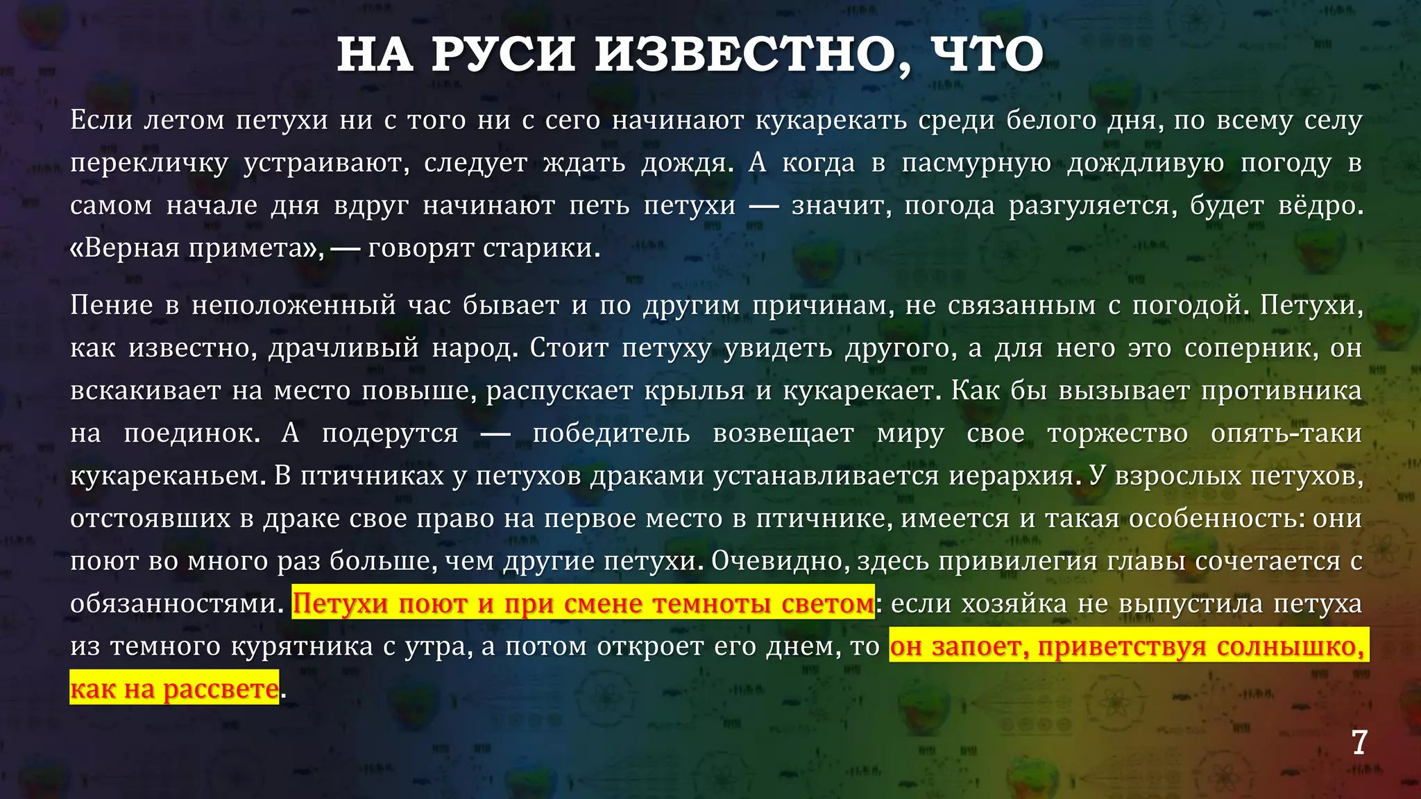 7
НА РУСИ ИЗВЕСТНО, ЧТО
Если летом петухи ни с того ни с сего начинают кукарекать среди белого дня, по всему селу
перекличку устраивают, следует ждать дождя. А когда в пасмурную дождливую погоду в
самом начале дня вдруг начинают петь петухи — значит, погода разгуляется, будет вёдро.
«Верная примета», — говорят старики.
Пение в неположенный час бывает и по другим причинам, не связанным с погодой. Петухи,
как известно, драчливый народ. Стоит петуху увидеть другого, а для него это соперник, он
вскакивает на место повыше, распускает крылья и кукарекает. Как бы вызывает противника
на поединок. А подерутся — победитель возвещает миру свое торжество опять-таки
кукареканьем. В птичниках у петухов драками устанавливается иерархия. У взрослых петухов,
отстоявших в драке свое право на первое место в птичнике, имеется и такая особенность: они
поют во много раз больше, чем другие петухи. Очевидно, здесь привилегия главы сочетается с
обязанностями. Петухи поют и при смене темноты светом: если хозяйка не выпустила петуха
из темного курятника с утра, а потом откроет его днем, то он запоет, приветствуя солнышко,
как на рассвете.
 