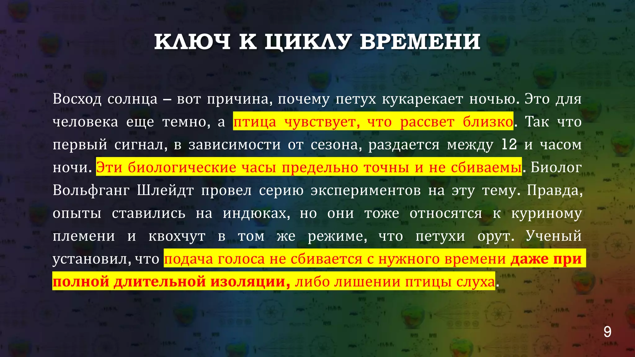 9
КЛЮЧ К ЦИКЛУ ВРЕМЕНИ
Восход солнца – вот причина, почему петух кукарекает ночью. Это для
человека еще темно, а птица чувствует, что рассвет близко. Так что
первый сигнал, в зависимости от сезона, раздается между 12 и часом
ночи. Эти биологические часы предельно точны и не сбиваемы. Биолог
Вольфганг Шлейдт провел серию экспериментов на эту тему. Правда,
опыты ставились на индюках, но они тоже относятся к куриному
племени и квохчут в том же режиме, что петухи орут. Ученый
установил, что подача голоса не сбивается с нужного времени даже при
полной длительной изоляции, либо лишении птицы слуха.
 