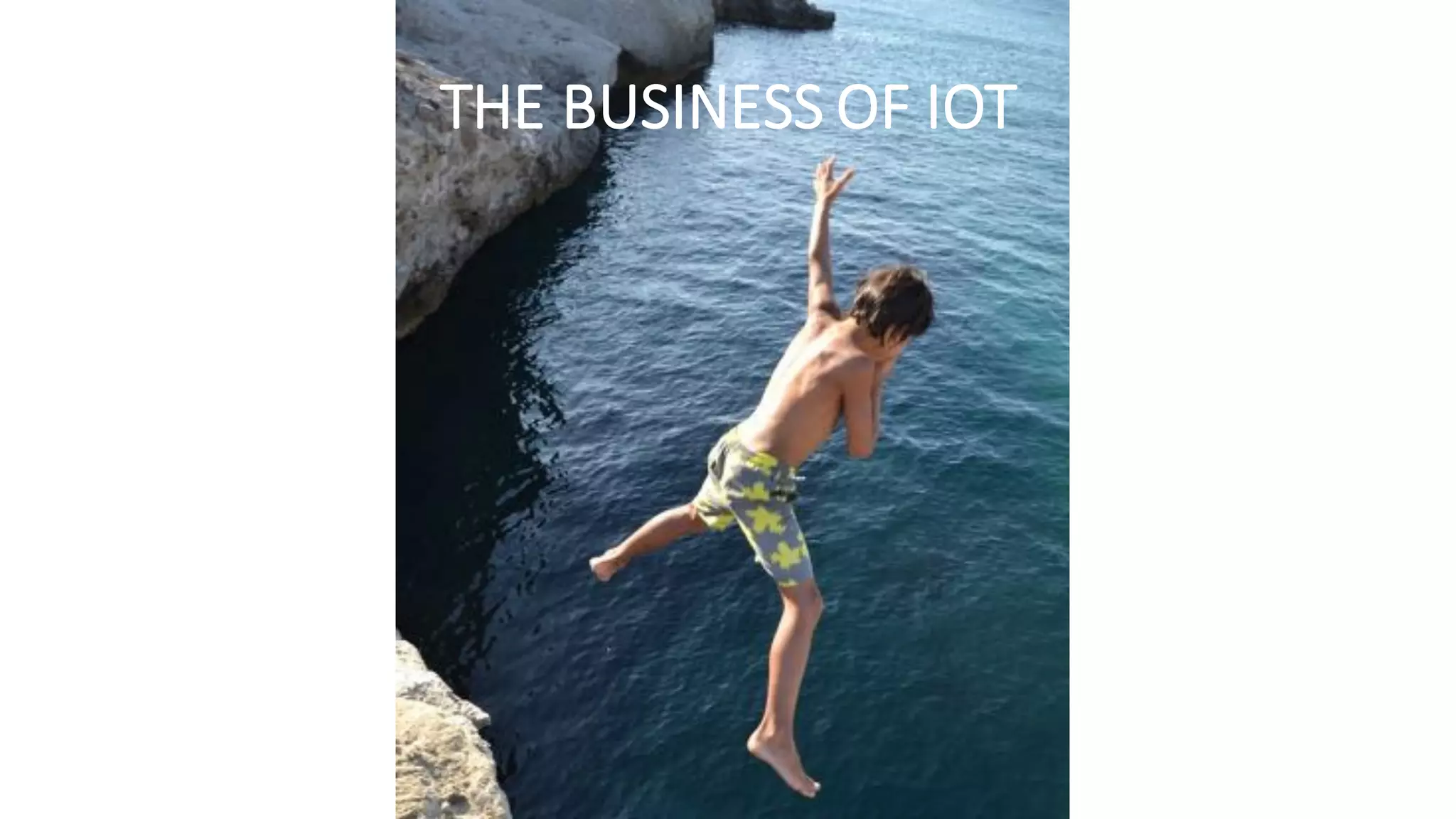 THE	BUSINESS	OF	IOT
 