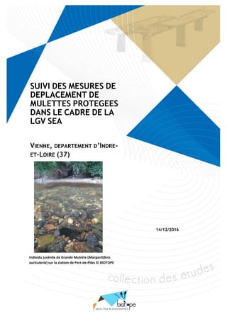 Suivi des mesures de déplacement de Mulettes protégées dans le cadre de la LGV SEA, cas de la Vienne (Indre-et-Loire)
BIOTOPE – Décembre 2016 1
14/12/2016
SUIVI DES MESURES DE
DEPLACEMENT DE
MULETTES PROTEGEES
DANS LE CADRE DE LA
LGV SEA
VIENNE, DEPARTEMENT D’INDRE-
ET-LOIRE (37)
Individu juvénile de Grande Mulette (Margaritifera
auricularia) sur la station de Port-de-Piles © BIOTOPE
 