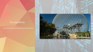 Ecosystème
 