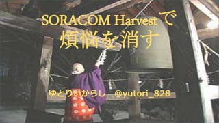 SORACOM Harvestで
煩悩を消す
ゆとりいからし @yutori_828
 