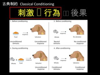 刺激  行為  後果
古典制約 Classical Conditioning
 