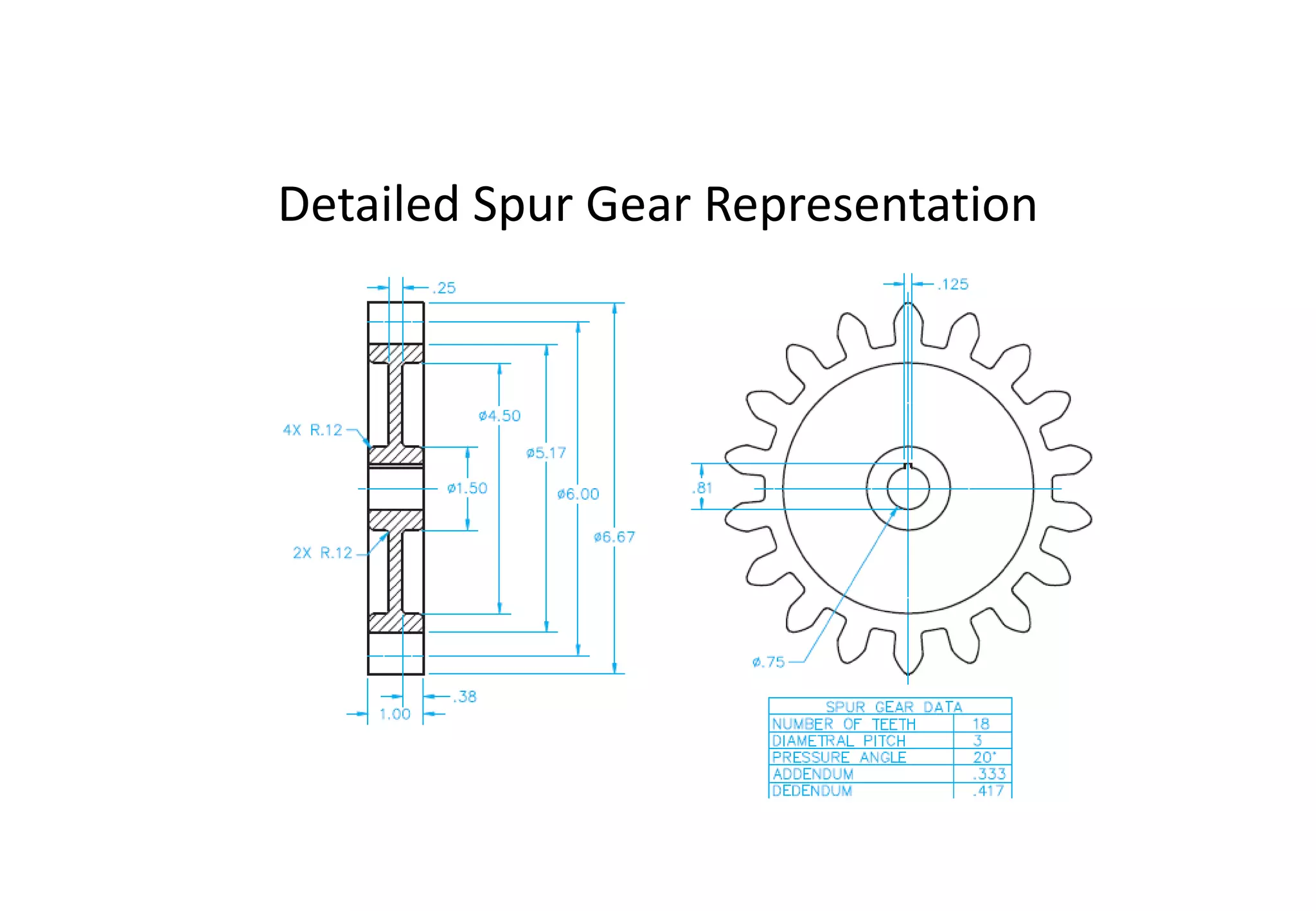 Detailed Spur Gear Representation
 