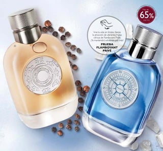 111


Vive la vida sin límites. Siente
la atracción de vibrantes frutas
cítricas de Flamboyant Privé.
¡Te mantendrá volviendo por más!
PRUEBA
FLAMBOYANT
PRIVÉ
Más de
65
 