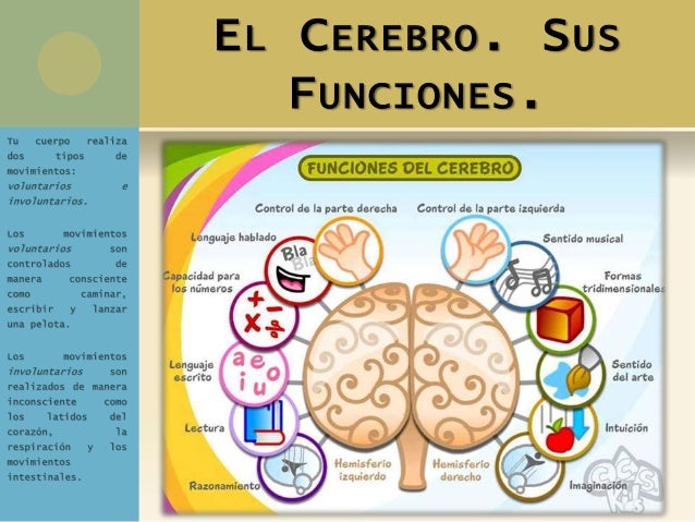 2016 17 6°_ciencias_01_bimprimero