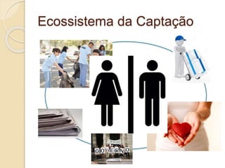 Ecossistema da Captação
 