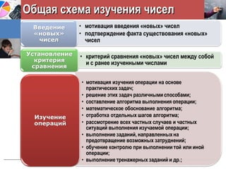 Общая схема изучения чиселОбщая схема изучения чисел
 