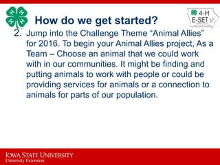 How do we get started?
2. Jump into the Challenge Theme “Animal Allies”
for 2016. To begin your Animal Allies project, As a
Team – Choose an animal that we could work
with in our communities. It might be finding and
putting animals to work with people or could be
providing services for animals or a connection to
animals for parts of our population.
 