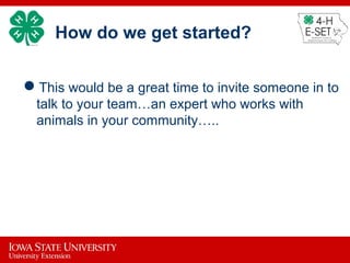 How do we get started?
This would be a great time to invite someone in to
talk to your team…an expert who works with
animals in your community…..
 