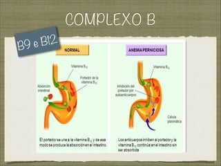 COMPLEXO B
B9 e B12
 