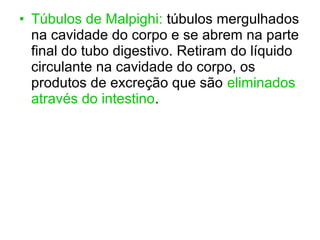 • Túbulos de Malpighi: túbulos mergulhados
na cavidade do corpo e se abrem na parte
final do tubo digestivo. Retiram do líquido
circulante na cavidade do corpo, os
produtos de excreção que são eliminados
através do intestino.
 