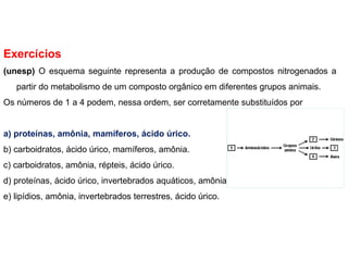 Exercícios
(unesp) O esquema seguinte representa a produção de compostos nitrogenados a
partir do metabolismo de um composto orgânico em diferentes grupos animais.
Os números de 1 a 4 podem, nessa ordem, ser corretamente substituídos por
a) proteínas, amônia, mamíferos, ácido úrico.
b) carboidratos, ácido úrico, mamíferos, amônia.
c) carboidratos, amônia, répteis, ácido úrico.
d) proteínas, ácido úrico, invertebrados aquáticos, amônia.
e) lipídios, amônia, invertebrados terrestres, ácido úrico.
 