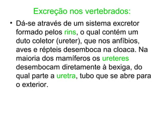 Excreção nos vertebrados:
• Dá-se através de um sistema excretor
formado pelos rins, o qual contém um
duto coletor (ureter), que nos anfíbios,
aves e répteis desemboca na cloaca. Na
maioria dos mamíferos os ureteres
desembocam diretamente à bexiga, do
qual parte a uretra, tubo que se abre para
o exterior.
 