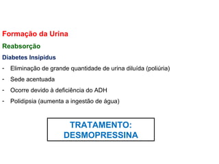 Formação da Urina
Reabsorção
Diabetes Insipidus
- Eliminação de grande quantidade de urina diluída (poliúria)
- Sede acentuada
- Ocorre devido à deficiência do ADH
- Polidipsia (aumenta a ingestão de água)
TRATAMENTO:
DESMOPRESSINA
 