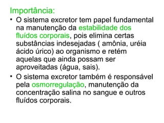 Importância:
• O sistema excretor tem papel fundamental
na manutenção da estabilidade dos
fluídos corporais, pois elimina certas
substâncias indesejadas ( amônia, uréia
ácido úrico) ao organismo e retém
aquelas que ainda possam ser
aproveitadas (água, sais).
• O sistema excretor também é responsável
pela osmorregulação, manutenção da
concentração salina no sangue e outros
fluídos corporais.
 