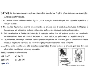 (UFPel) As figuras a seguir mostram diferentes estruturas, órgãos e/ou sistemas de excreção.
Analise as afirmativas.
I. No caso do animal representado na figura 1, toda excreção é realizada por uma organela específica, o
vacúolo pulsátil.
II. Nos insetos (figura 2), o excreta predominante é a amônia, que é coletada pelos tubos de Malpighi e
transportada até o intestino, onde se mistura com as fezes e é eliminada juntamente com elas.
III. Nos vertebrados a função de excreção é realizada pelos rins. O sistema urinário do vertebrado
representado na figura 3 é formado pelos rins (A), pelas uretras (B), pela bexiga (C) e pelo ureter (D).
IV. Os portadores da doença 'Diabetes Melito' apresentam glicose em sua urina, pois a concentração dessa
molécula no plasma é elevada e a sua reabsorção pelos túbulos renais não é completa.
V. Amônia, uréia e ácido úrico são excretas nitrogenados. O mais tóxico é a amônia, por isso deve ser
eliminada à medida que vai sendo produzida.
Estão corretas as afirmativas
a) I, II e V. d) II e IV.
b) III e V. e) I, III e V.
c) IV e V.
 