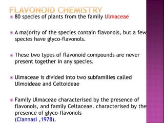  80 species of plants from the family Ulmaceae
 A majority of the species contain flavonols, but a few
species have glyco-flavonols.
 These two types of flavonoid compounds are never
present together in any species.
 Ulmaceae is divided into two subfamilies called
Ulmoideae and Celtoideae
 Family Ulmaceae characterised by the presence of
flavonols, and family Celtaceae. characterised by the
presence of glyco-flavonols
(Ciannasi ,1978).
 