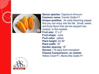 Genus species: Brassica juncea
Common name: Japanese Mustard
Unique qualities: A fresh, healthy baby leaf
variety with unique red-violet colored leaves.
Plant type: biennial
Leaf color: glossy deep violet-red
Plant height: 7.5”
Plant spread: 8.5”
Plant spacing: 1”
Garden location: full sun
Harvest: 3-5 weeks from sowing seed, 2
weeks from transplant
Closest comparisons on market:
Komatsuna Red Fine F1, Garnet Red
 