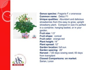 Genus species: Capsicum Annuum
Common name: Escamillo F1
Unique qualities: A high yielding, early to
bear fruit, pepper plant. The peppers have a
delicious sweet and fruity flavor that are easily
enjoyed raw, cooked, or fire-roasted.
Fruit size: 8” x 2.5”
Fruit shape: cone
Fruit color: yellow
Plant height: 36”
Plant width: 18”
Garden location:
Garden spacing: 18”
Harvest : 77 days from transplant
Closest Comparisons: on market:
Mama Mia Giallo F1, Big Daddy F1
 