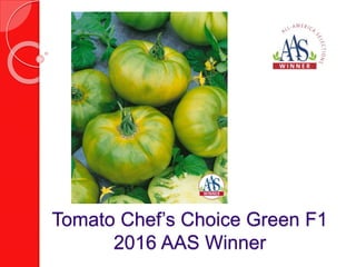Pumpkin Pepitas F1
2016 AAS Regional Winner
 