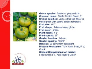 Genus species: Cucurbita pepo
Common name: Pumpkin
Fruit flavor: Pale yellow flesh that can be
eaten raw or baked
Fruit size: 12-14 inches
Fruit shape: Round
Fruit color: Yellow/orange with green striping
Plant color: Dark Green
Plant type: Annual
Plant height: 15-16 inches
Plant habit: Requires space has trailing
vines
Garden location: Full sun
Garden spacing: 3-4 feet
Length of time to harvest: 90 days from
sowing seed
Closest comparisons on market: Triple
Treat, Kakai
 