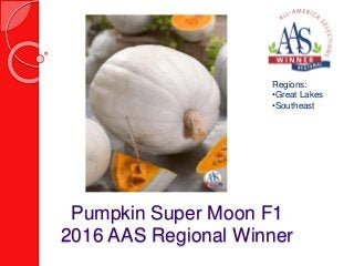 Pumpkin Super Moon F1
2016 AAS Regional Winner
Regions:
•Great Lakes
•Southeast
 