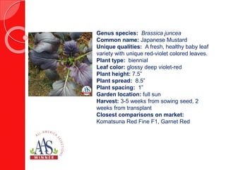 Genus species: Brassica oleracea, Capitata
group
Common name: Cabbage
Fruit flavor: Sweet, crisp
Fruit sixe: 4 inches
Fruit shape: Round
Plant color: Green
Plant type: Annual
Plant height: 12-14 inches
Plant habit: Compact, depending on spacing
Garden location: Full sun
Garden spacing: 6-8 inches apart, 12 inches
between rows
Harvest: 55 days from sowing seed, 45 days
from transplant
Closest comparisons on market:
Gonzales F1, Crystal Vantage F1
 