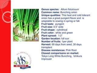 Genus species: Brassica oleracea,
Acephala group
Common name: Kale
Fruit flavor: Leaves have great texture and
maintain flavor
Fruit size: 3.5 - 4 inches
Fruit shape: Curly leaves
Fruit color: Bright medium green leaves
Plant color: Medium green
Plant type: Annual
Plant height: 15+ inches
Garden location: Full sun, Partial sun
Garden spacing: 4-8 inches
Harvest: 50-60 days from sowing seed, 35-
45 days from transplant
Closest comparisons on market:
Starbor F1, Winterbor F1
 