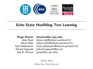 Echo State Hoeﬀding Tree Learning
Diego Marr´on (dmarron@ac.upc.edu)
Jesse Read (jesse.read@telecom-paristech.fr)
Albert Bifet (albert.bifet@telecom-paristech.fr)
Talel Abdessalem (talel.abdessalem@telecom-paristech.fr)
Eduard Ayguad´e (eduard.ayguade@bsc.es)
Jos´e R. Herrero (josepr@ac.upc.edu)
ACML 2016
Hamilton, New Zeland
 