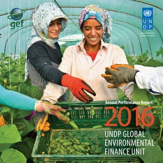 2016UNDP GLOBAL
ENVIRONMENTAL
FINANCE UNIT
Annual Performance Report
 
