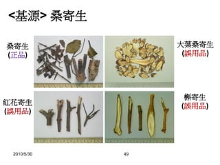 2010/5/30 49
<基源> 桑寄生
紅花寄生
(誤用品)
大葉桑寄生
(誤用品)
槲寄生
(誤用品)
桑寄生
(正品)
 