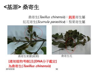 2010/5/30 50
<基源> 桑寄生
桑寄生(Taxillus chinensis)：鈍果寄生屬
紅花寄生(Scurrula parasitica)：梨果寄生屬
桑寄生果實(鈍果) 桑寄生花
[產地植物考察]及[DNA分子鑑定]
為桑寄生(Taxillus chinensis)
 
