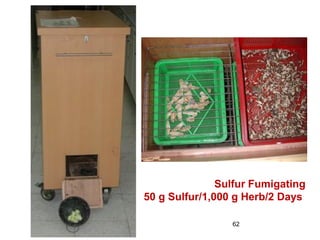 62
Sulfur Fumigating
50 g Sulfur/1,000 g Herb/2 Days
 